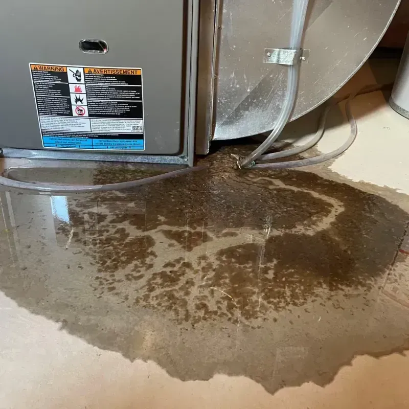 Appliance Leak Cleanup in Rock County, WI